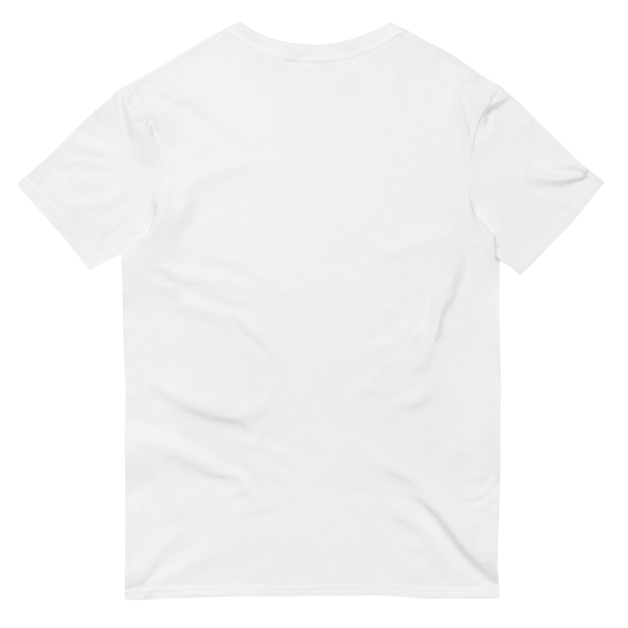 unisex-lightweight-t-shirt-white-back-6439a6149da4e.jpg