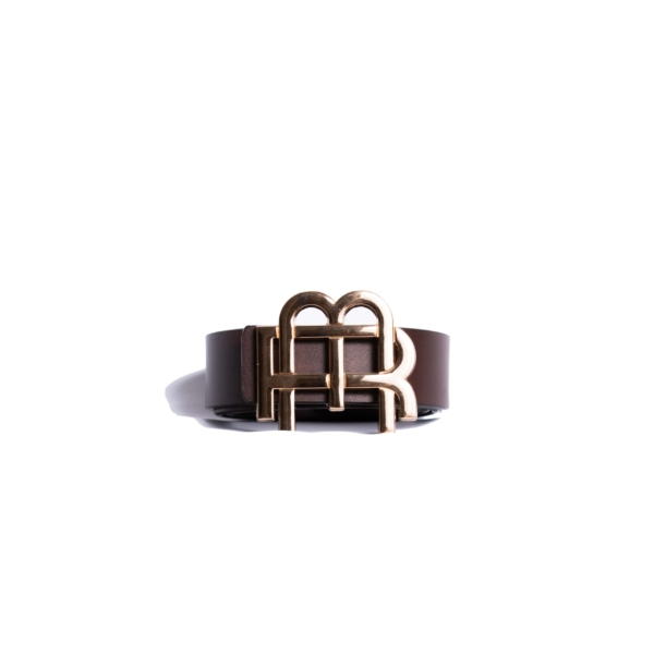 Brown Belt Gold Buckle Standing Up-min-2